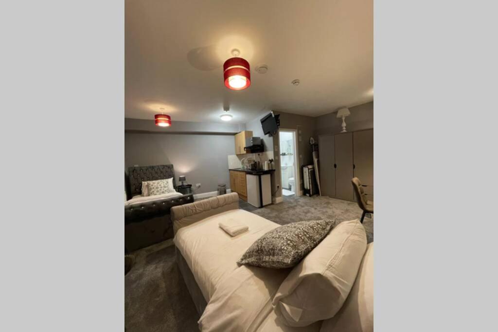 Spacious, Bright Twin Studio Apartment London Exteriör bild